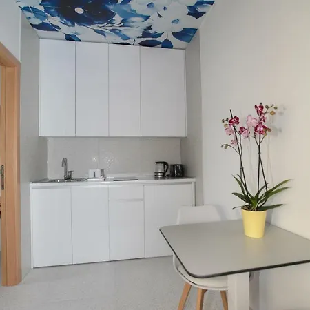 Luxury Tasa * 트레빈예