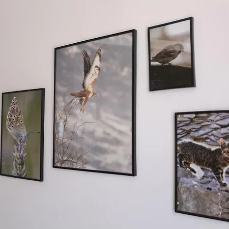 Luxury Tasa Apartamento *