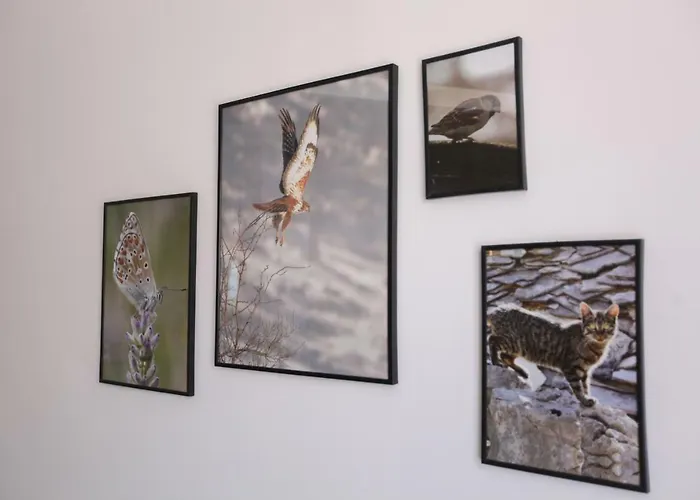 Luxury Tasa شقة *